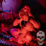 Screams In The Dark - Blackwood Hollow photo