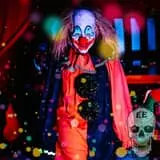 Screams In The Dark - Blackwood Hollow photo