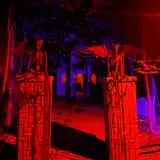 Screams In The Dark - Blackwood Hollow photo