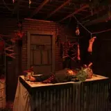 Screams In The Dark - Blackwood Hollow photo