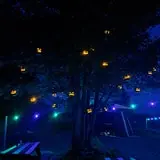 Screams In The Dark - Blackwood Hollow photo