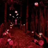 Screams In The Dark - Blackwood Hollow photo