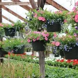 Jillson's Farm & Sugarhouse photo