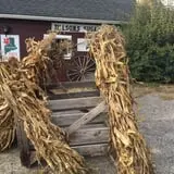 Jillson's Farm & Sugarhouse photo