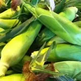 Jillson's Farm & Sugarhouse photo