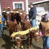 Jillson's Farm & Sugarhouse photo