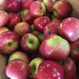 Jillson's Farm & Sugarhouse photo