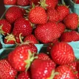 Jillson's Farm & Sugarhouse photo