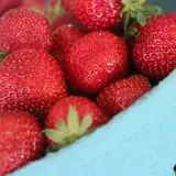 Jillson's Farm & Sugarhouse photo