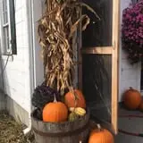 Jillson's Farm & Sugarhouse photo