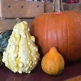 Jillson's Farm & Sugarhouse photo