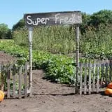 Granny Mae's Pumpkin Patch photo