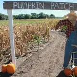 Granny Mae's Pumpkin Patch photo