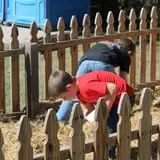 Granny Mae's Pumpkin Patch photo