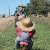 Granny Mae's Pumpkin Patch photo