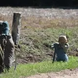 Granny Mae's Pumpkin Patch photo
