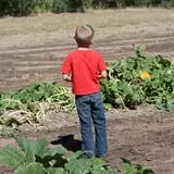 Granny Mae's Pumpkin Patch photo