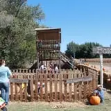 Granny Mae's Pumpkin Patch photo