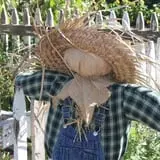 Granny Mae's Pumpkin Patch photo