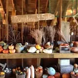 Granny Mae's Pumpkin Patch photo