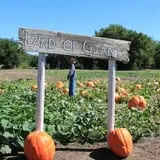 Granny Mae's Pumpkin Patch photo