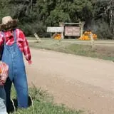 Granny Mae's Pumpkin Patch photo