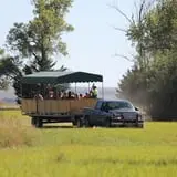 Granny Mae's Pumpkin Patch photo