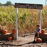 Granny Mae's Pumpkin Patch photo