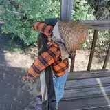Granny Mae's Pumpkin Patch photo