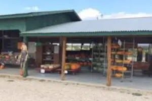 Vogel Orchard Pumpkin Patch