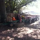 Carlton Farms photo