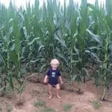 Carlton Farms photo