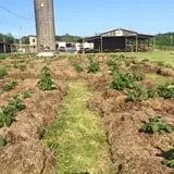 Carlton Farms photo