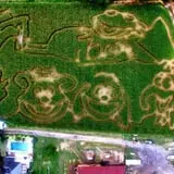 Carlton Farms photo