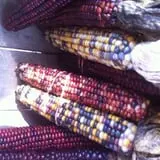 Carlton Farms photo