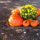 Carlton Farms photo