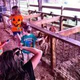 Carlton Farms photo