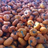 Carlton Farms photo