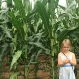 Carlton Farms photo