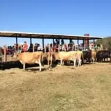 Carlton Farms photo