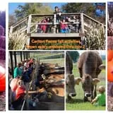 Carlton Farms photo