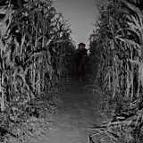 Rowe Crop Farm Family Fall Fun photo