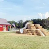 Rowe Crop Farm Family Fall Fun photo