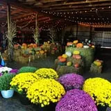 Rowe Crop Farm Family Fall Fun photo