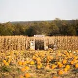 Rowe Crop Farm Family Fall Fun photo