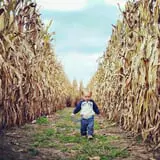 Rowe Crop Farm Family Fall Fun photo