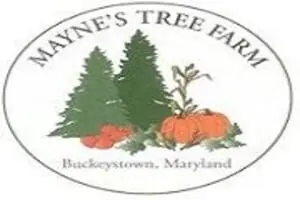 Pumpkin Patch At Mayne's
