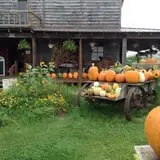 Hearty Harvest photo