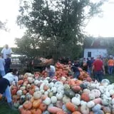 Hearty Harvest photo