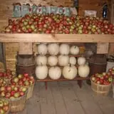 Hearty Harvest photo